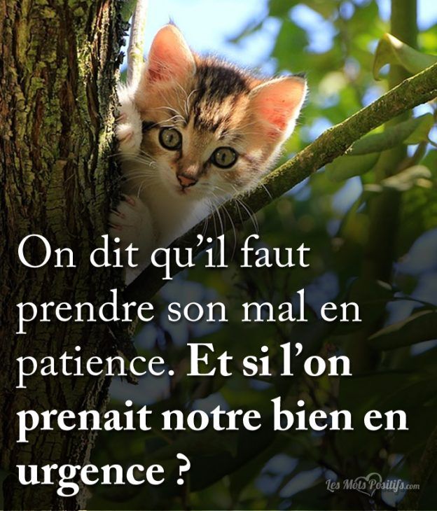 bien en urgence