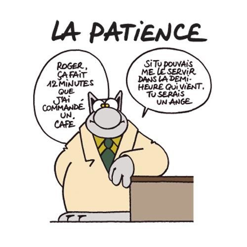idata_2803364_la-gentillesse-par-Ph.GELUCK_la-patience